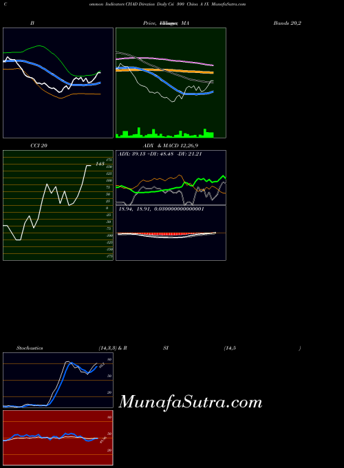Direxion Daily indicators chart 
