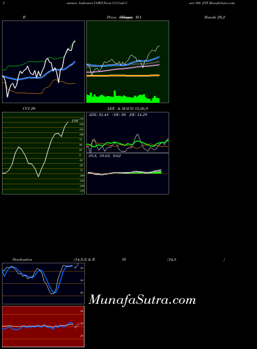 AMEX Pacer US Cash Cows 100 ETF COWZ All indicator, Pacer US Cash Cows 100 ETF COWZ indicators All technical analysis, Pacer US Cash Cows 100 ETF COWZ indicators All free charts, Pacer US Cash Cows 100 ETF COWZ indicators All historical values AMEX