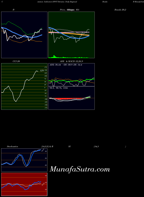 Direxion Daily indicators chart 