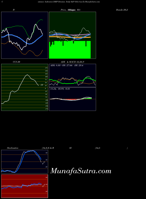 Direxion Daily indicators chart 