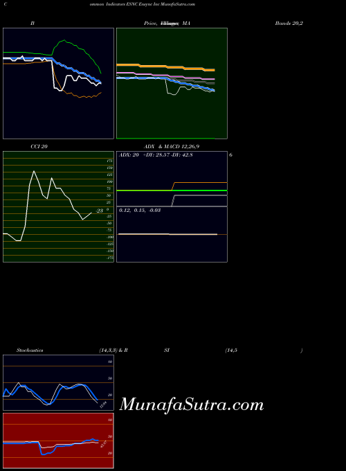 Ensync Inc indicators chart 