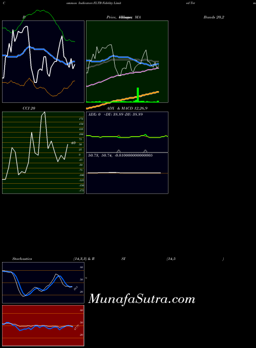 Fidelity Term indicators chart 