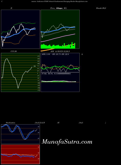 Schwab Fundamental indicators chart 