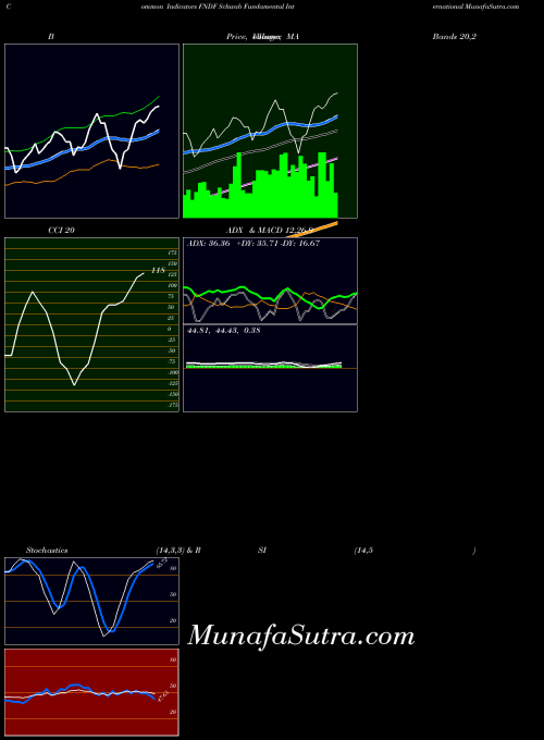 Schwab Fundamental indicators chart 