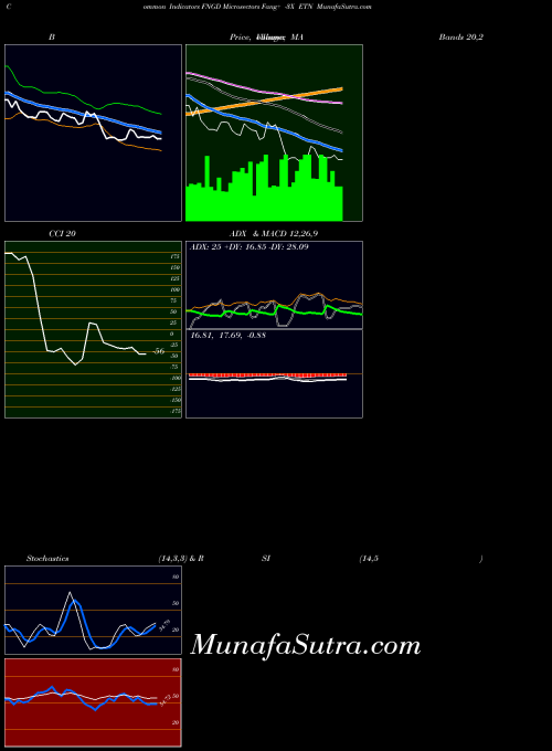 Microsectors Fang indicators chart 