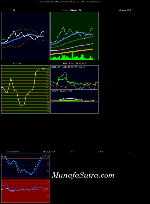 Microsectors Fang indicators chart 