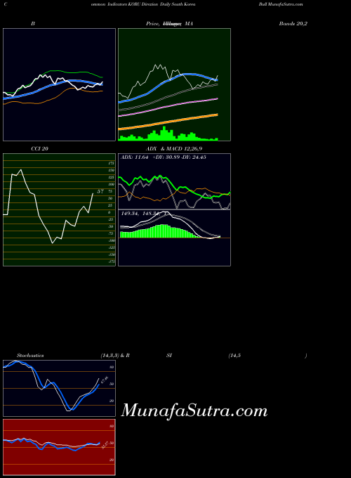 Direxion Daily indicators chart 