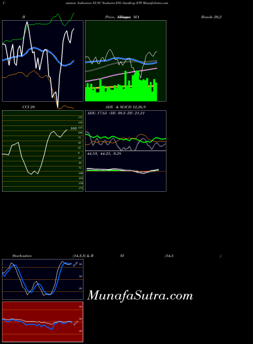 Nushares Esg indicators chart 