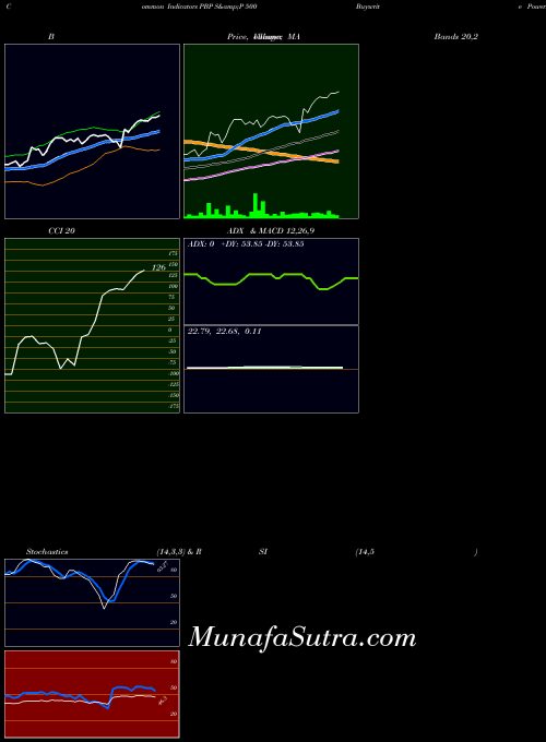 S P indicators chart 