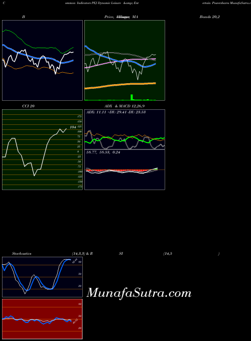 Dynamic Leisure indicators chart 