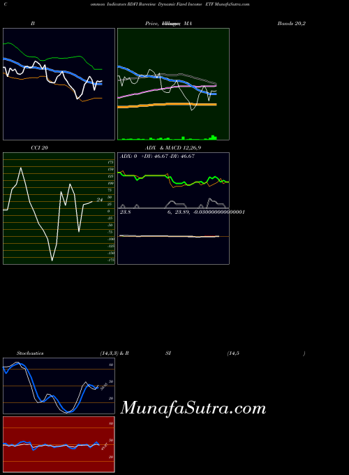 Rareview Dynamic indicators chart 