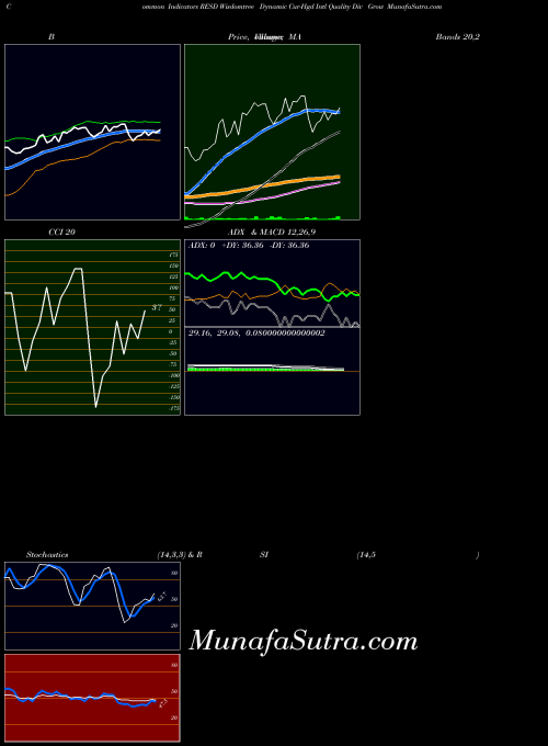 Wisdomtree Dynamic indicators chart 