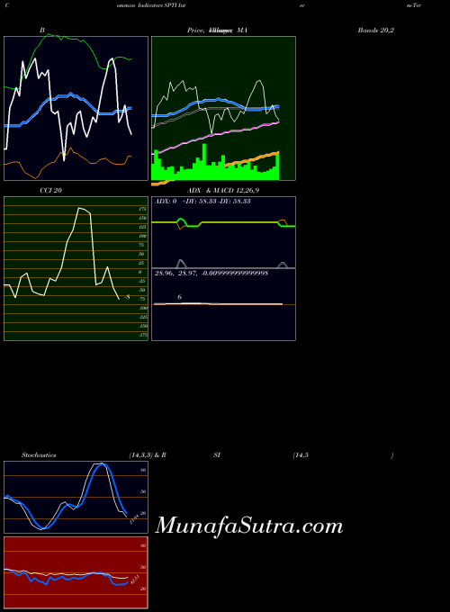 Interm Term indicators chart 