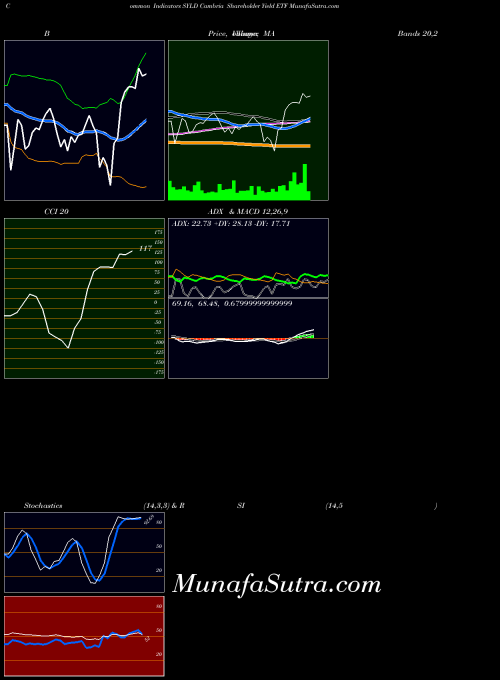 AMEX Cambria Shareholder Yield ETF SYLD All indicator, Cambria Shareholder Yield ETF SYLD indicators All technical analysis, Cambria Shareholder Yield ETF SYLD indicators All free charts, Cambria Shareholder Yield ETF SYLD indicators All historical values AMEX