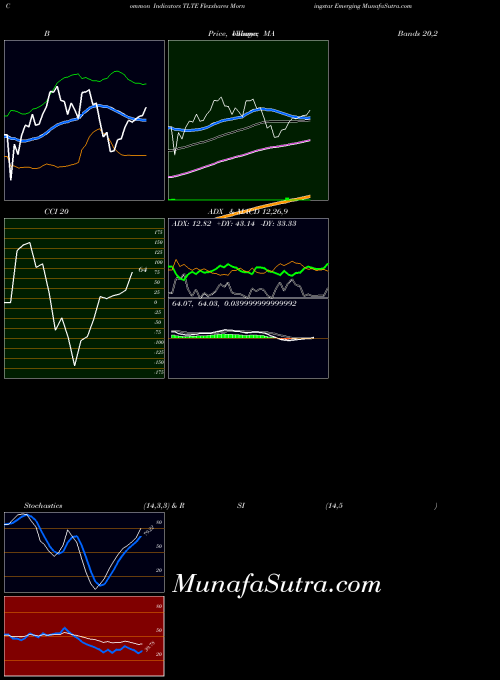 Flexshares Morningstar indicators chart 