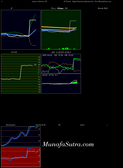 Tortoise Digital indicators chart 