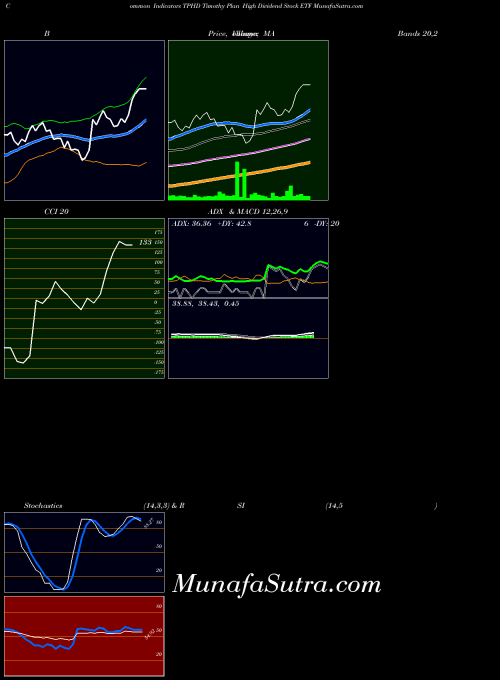 Timothy Plan indicators chart 