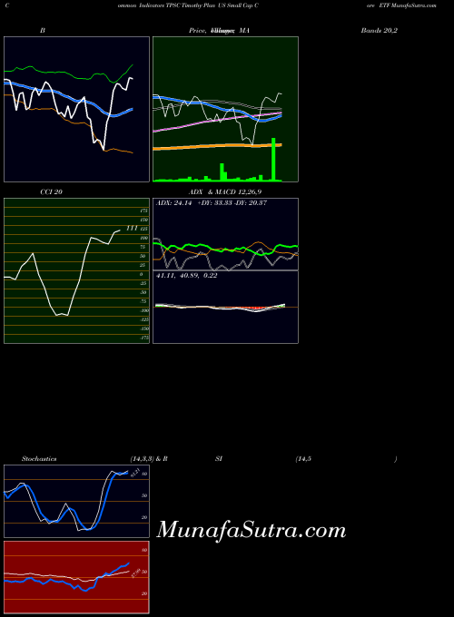 Timothy Plan indicators chart 