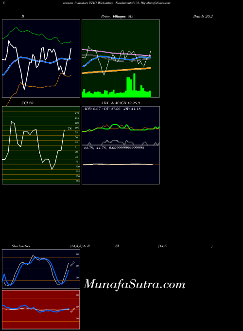 Wisdomtree Fundamental indicators chart 