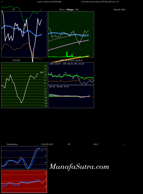 Affinity World indicators chart 
