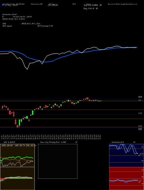 Chart Sprott Buzz (BUZ)  Technical (Analysis) Reports Sprott Buzz [