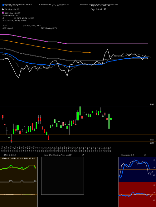Wisdomtree Chinese Yuan Fund CYB Support Resistance charts Wisdomtree Chinese Yuan Fund CYB AMEX