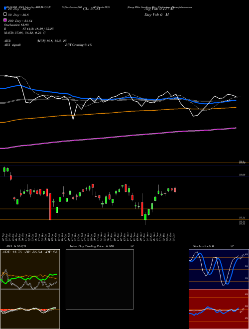Emrg Mkts Smallcap Div Wisdomtree DGS Support Resistance charts Emrg Mkts Smallcap Div Wisdomtree DGS AMEX