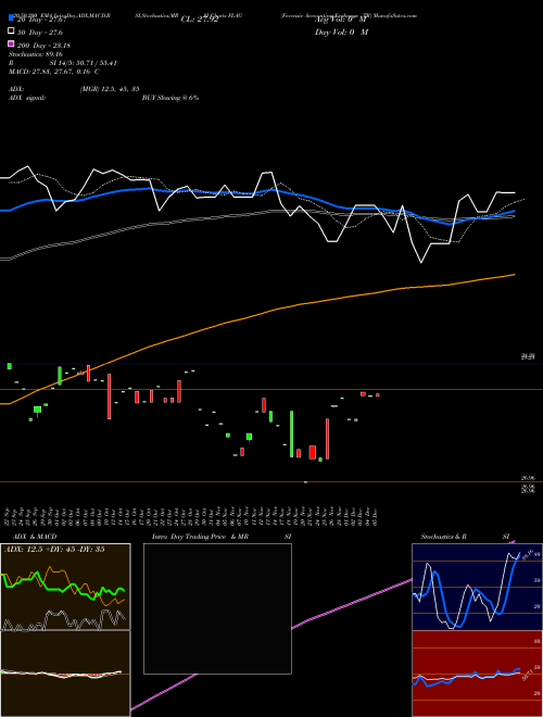 Forensic Accounting Exchange TR FLAG Support Resistance charts Forensic Accounting Exchange TR FLAG AMEX