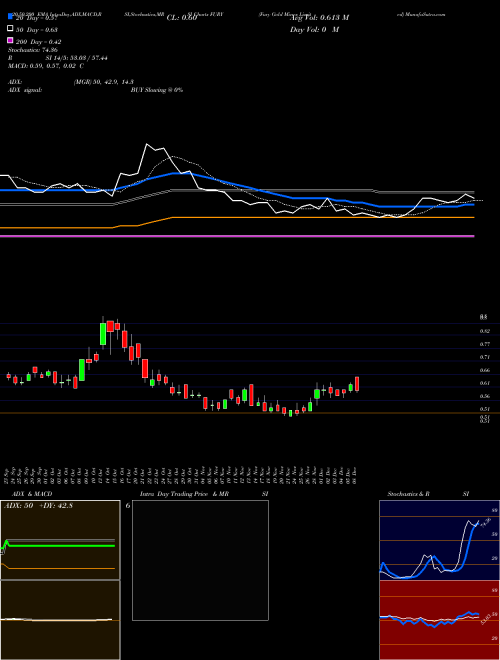 Fury Gold Mines Limited FURY Support Resistance charts Fury Gold Mines Limited FURY AMEX