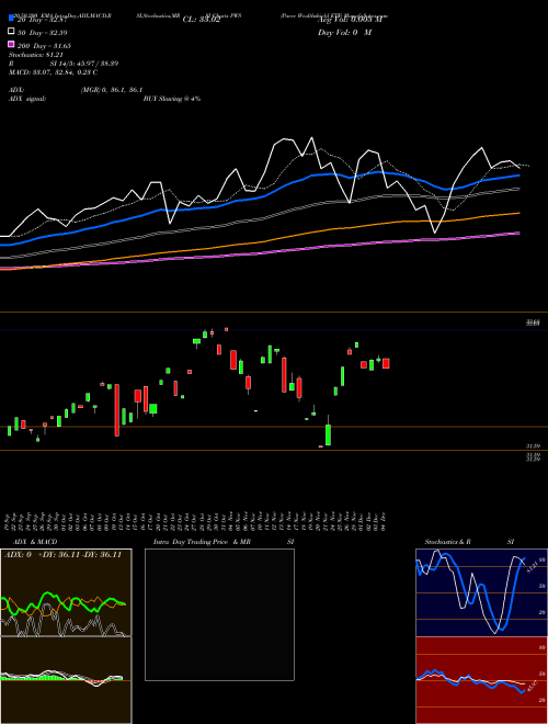 Pacer Wealthshield ETF PWS Support Resistance charts Pacer Wealthshield ETF PWS AMEX