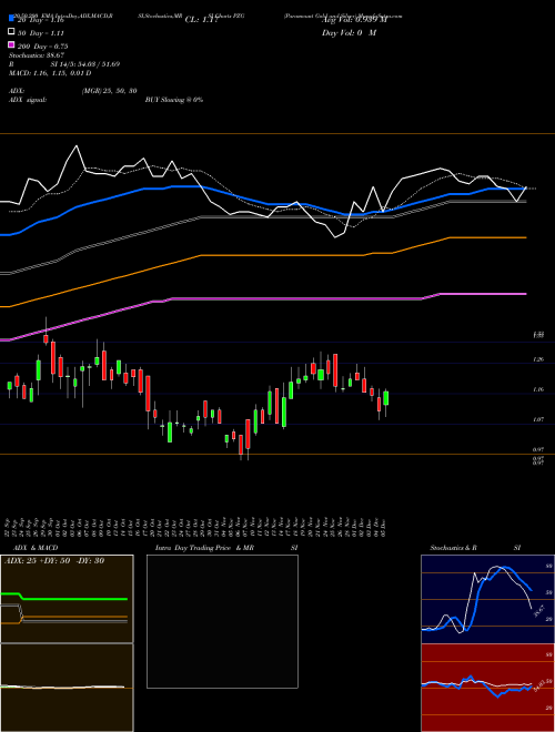 Paramount Gold And Silver PZG Support Resistance charts Paramount Gold And Silver PZG AMEX