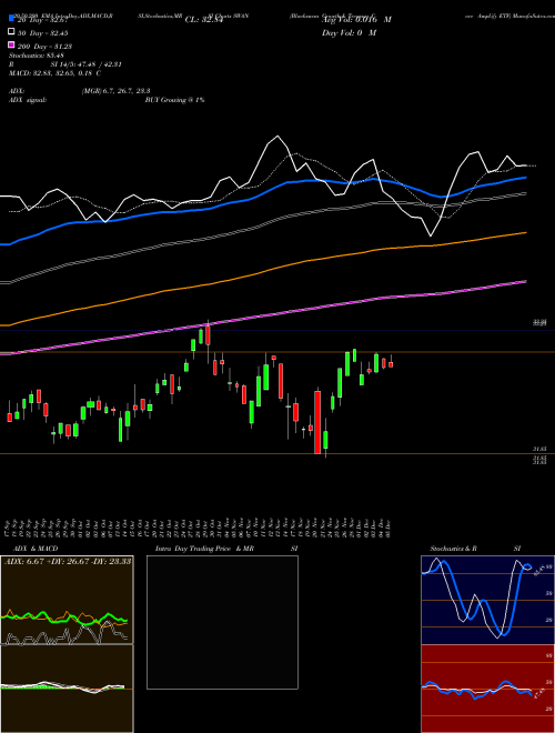 Blackswan Growth & Treasury Core Amplify ETF SWAN Support Resistance charts Blackswan Growth & Treasury Core Amplify ETF SWAN AMEX