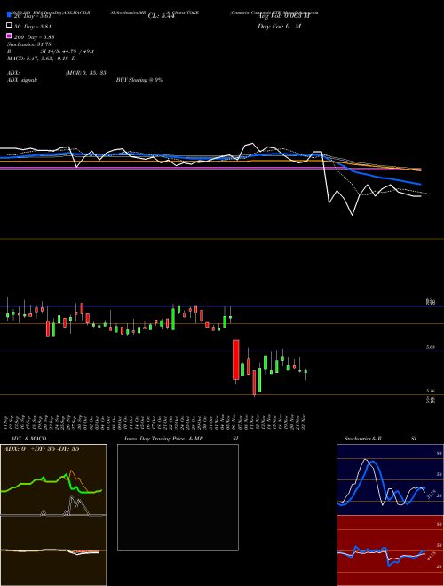 Cambria Cannabis ETF TOKE Support Resistance charts Cambria Cannabis ETF TOKE AMEX