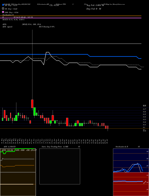 Trinity Pl Hldgs Inc TPHS Support Resistance charts Trinity Pl Hldgs Inc TPHS AMEX