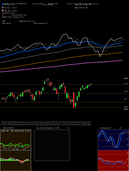Ultrapro S&P 500 Proshares UPRO Support Resistance charts Ultrapro S&P 500 Proshares UPRO AMEX