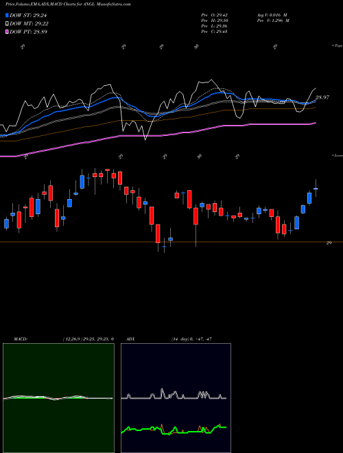 Munafa Fallen Angel HY Bond ETF Market Vectors (ANGL) stock tips, volume analysis, indicator analysis [intraday, positional] for today and tomorrow