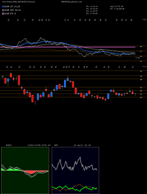 Munafa  (BMNR) stock tips, volume analysis, indicator analysis [intraday, positional] for today and tomorrow