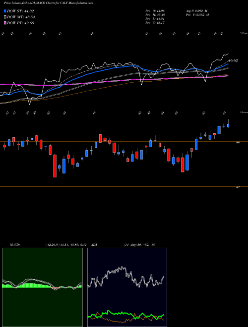 MACD charts various settings share CALF Pacer US Small Cap Cash Cows 100 ETF AMEX Stock exchange 
