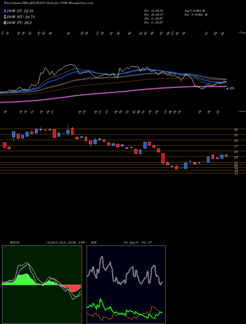 MACD charts various settings share CNBS Amplify Seymour Cannabis ETF AMEX Stock exchange 