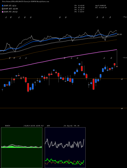 MACD charts various settings share DDWM Wisdomtree Dynamic Currency Hed AMEX Stock exchange 