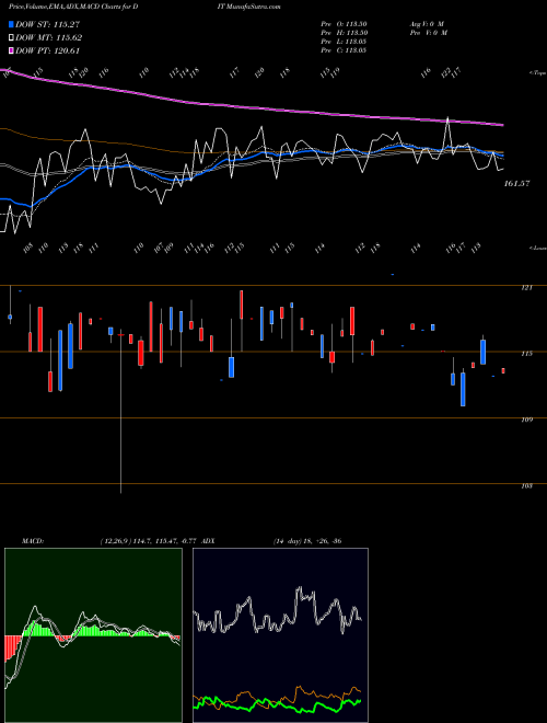 Munafa Amcon Distributing Company (DIT) stock tips, volume analysis, indicator analysis [intraday, positional] for today and tomorrow