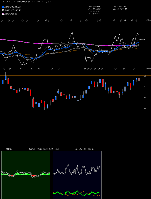 MACD charts various settings share ERX Energy Bull 3X Direxion AMEX Stock exchange 