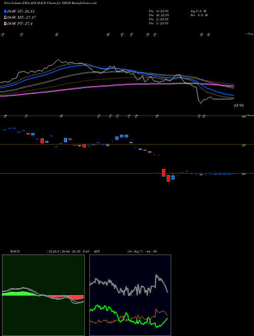 Munafa  (NBGR) stock tips, volume analysis, indicator analysis [intraday, positional] for today and tomorrow