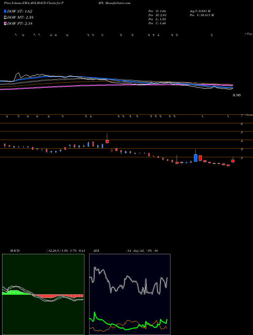 Munafa  (PAPL) stock tips, volume analysis, indicator analysis [intraday, positional] for today and tomorrow