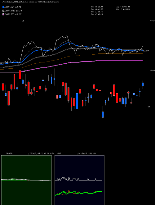 Munafa  (TAGG) stock tips, volume analysis, indicator analysis [intraday, positional] for today and tomorrow