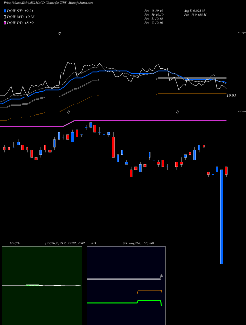 MACD charts various settings share TIPX SPDR Barclays 1-10 Year Tips AMEX Stock exchange 