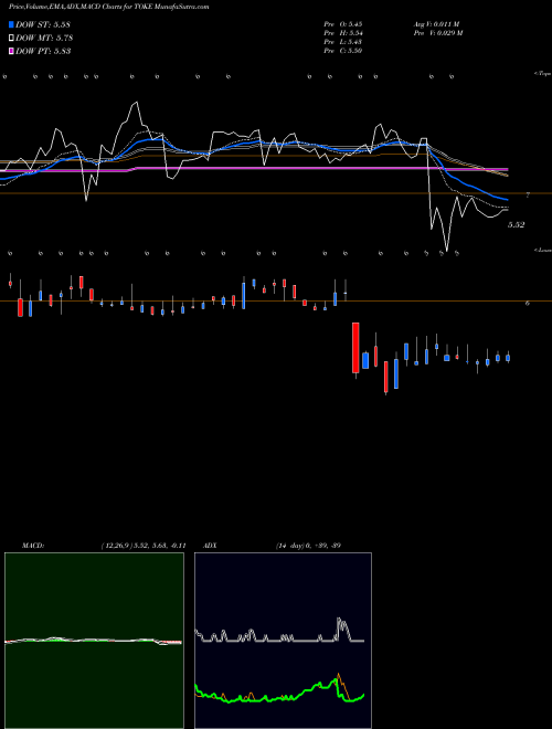 Munafa Cambria Cannabis ETF (TOKE) stock tips, volume analysis, indicator analysis [intraday, positional] for today and tomorrow