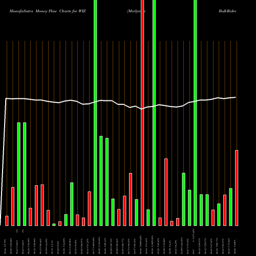 Money Flow charts share WIZ Merlyn.Ai Bull-Rider Bear-Fighter ETF AMEX Stock exchange 