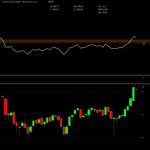 Monthly charts share BMED Blackrock Future Health ETF AMEX Stock exchange 