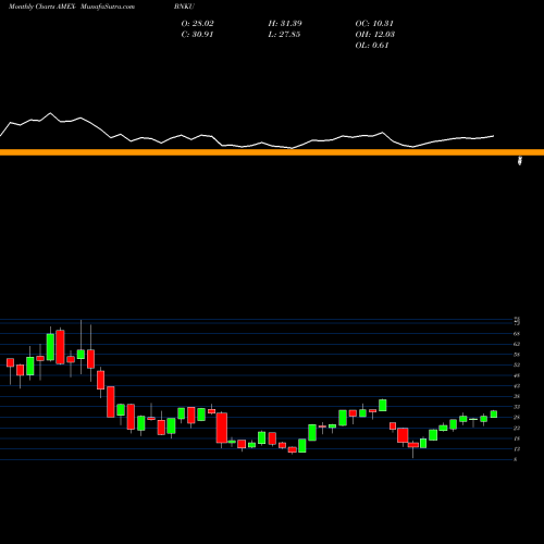 Monthly charts share BNKU Microsectors 3X U.S. Big Banks ETN AMEX Stock exchange 